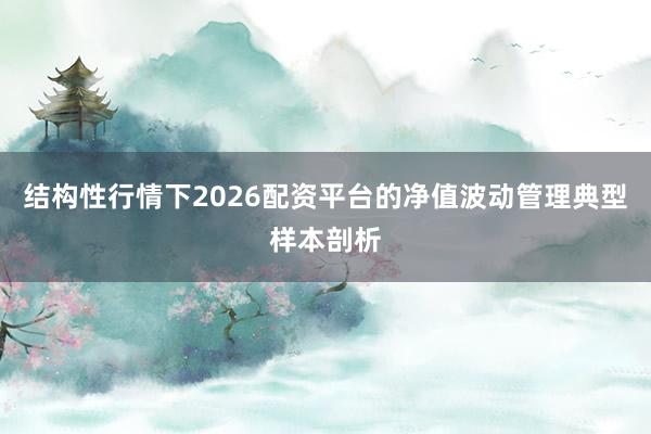 结构性行情下2026配资平台的净值波动管理典型样本剖析