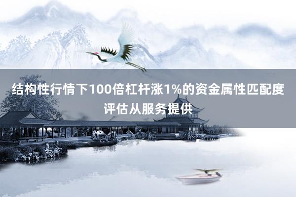 结构性行情下100倍杠杆涨1%的资金属性匹配度评估从服务提供