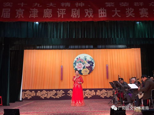 廊坊市广阳区文化体育局组织举办第五届京津廊戏曲大赛广阳初赛